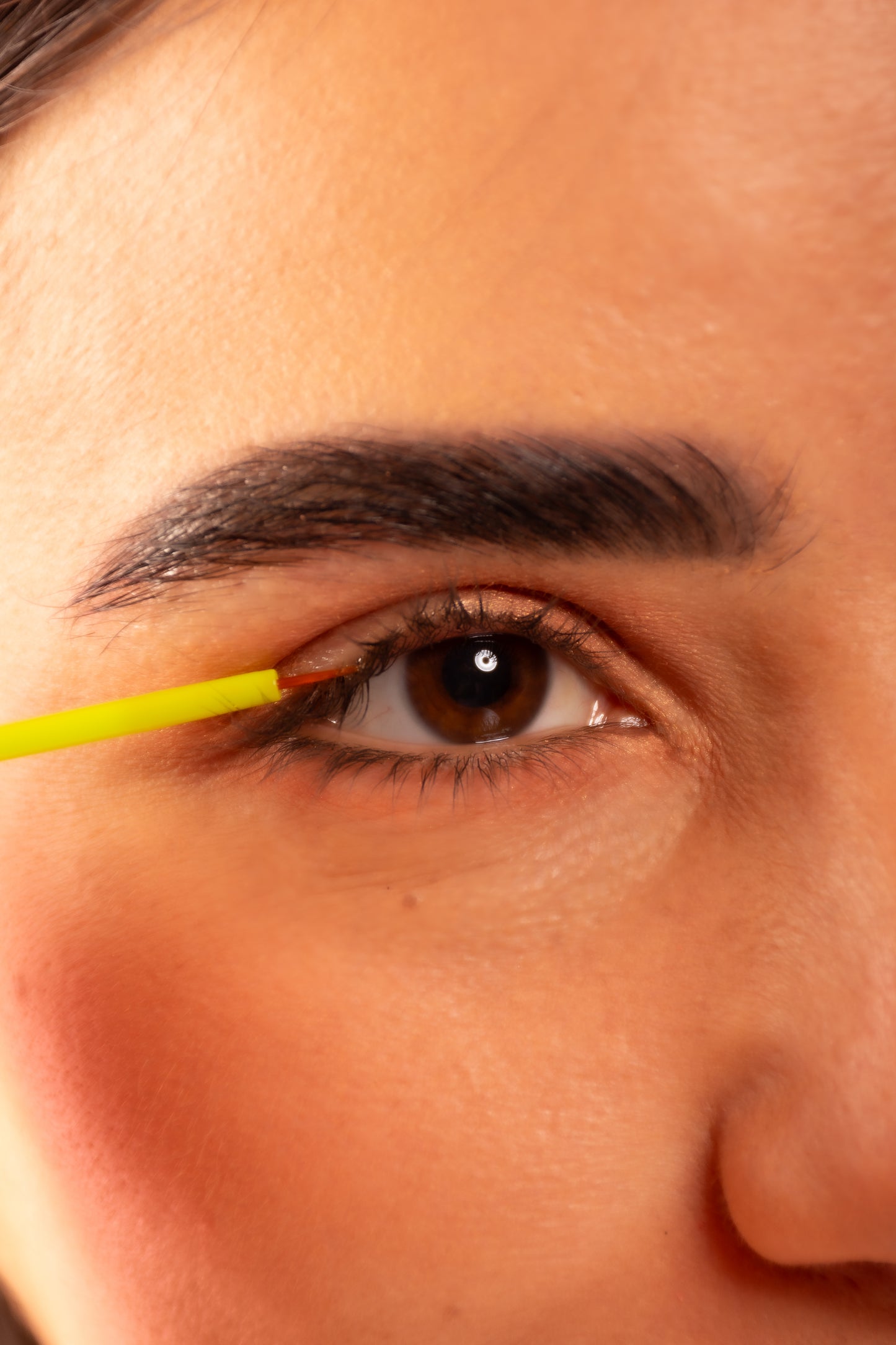 Lashes & Brows Growth Support Serum